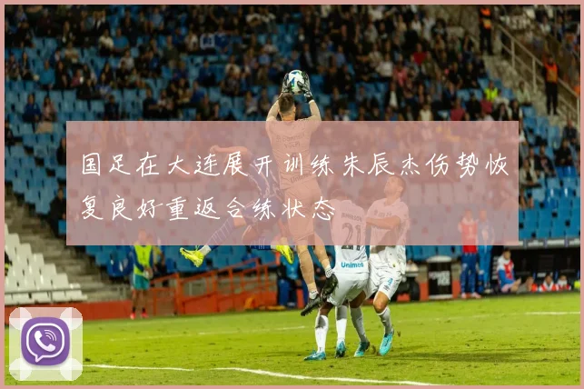 国足在大连展开训练朱辰杰伤势恢复良好重返合练状态