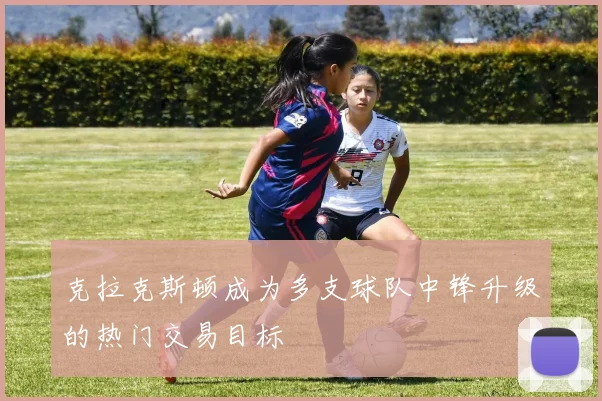 克拉克斯顿成为多支球队中锋升级的热门交易目标
